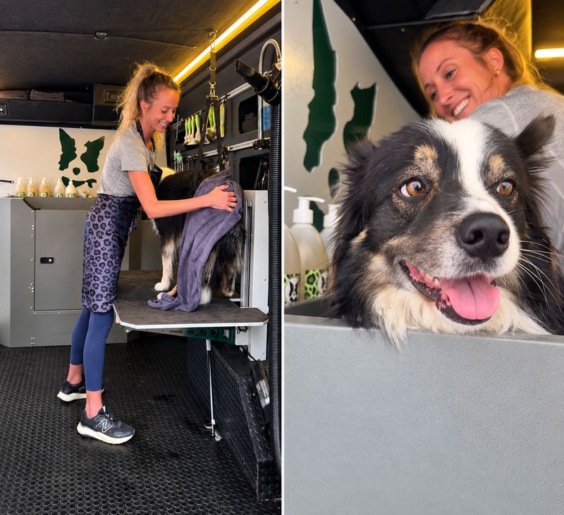 A border collie being towel-dried and smiling from the bath in the DogMax van